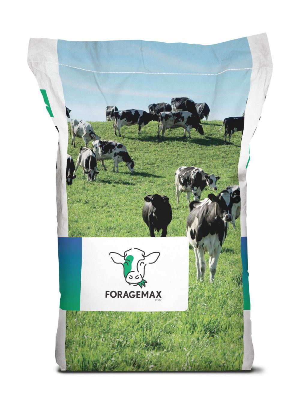 VERSAMAX BEEF